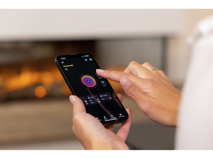 Dimplex Vivente plus