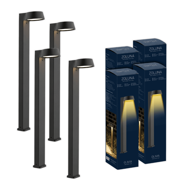 Package deal ZOLUNA 4x stake light Olivia