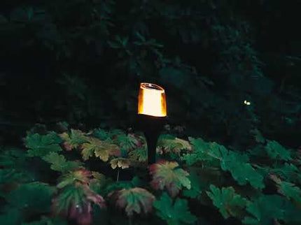ZOLUNA Solar Stake Light Anky