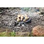 Esschert Campfire Grill