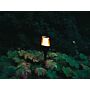 ZOLUNA Solar Stake Light Anky
