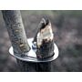 Petromax Tripod Ring