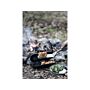 Petromax Flexible Spatula Long