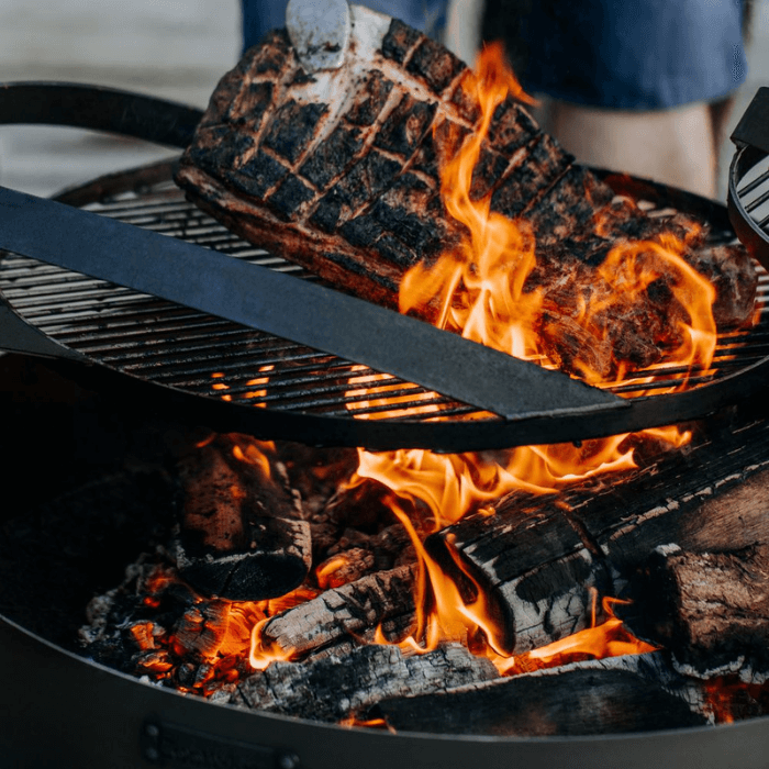 Fire pit cooking clearance grate cast iron
