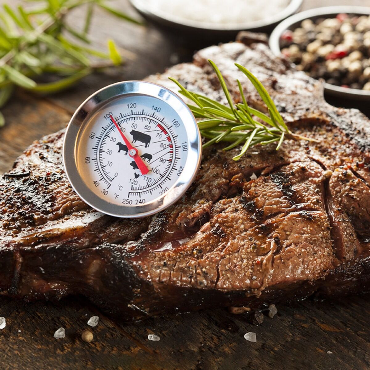 Steak thermometer outlet