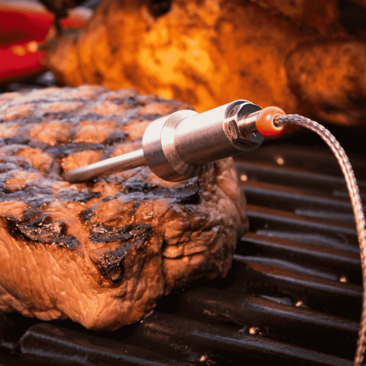 HerQs thermometer probes (2 pieces)