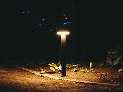 ZOLUNA Solar Stake Light Guus