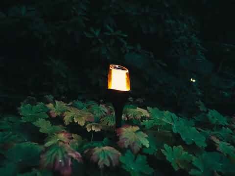 ZOLUNA Solar Stake Light Anky