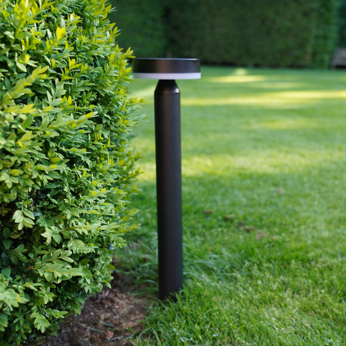 ZOLUNA Solar Stake Light Guus